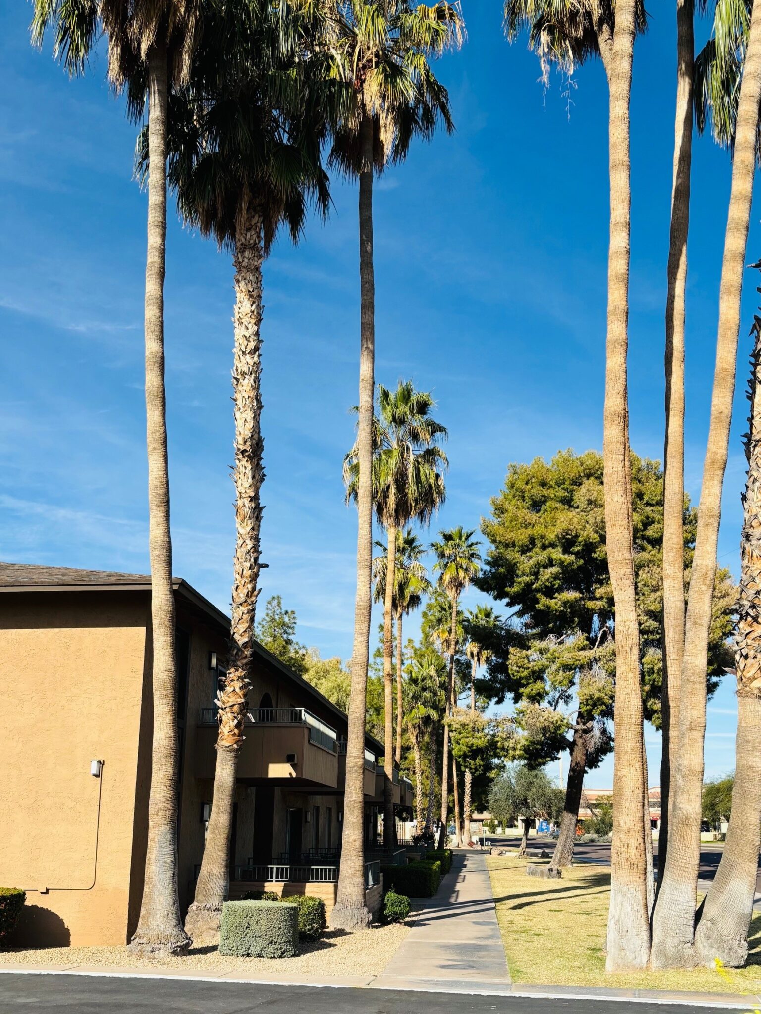 0u94gNqo90NyIChLlBrd4bVGn6MfWcq8iSsRldW7u01sNMqP