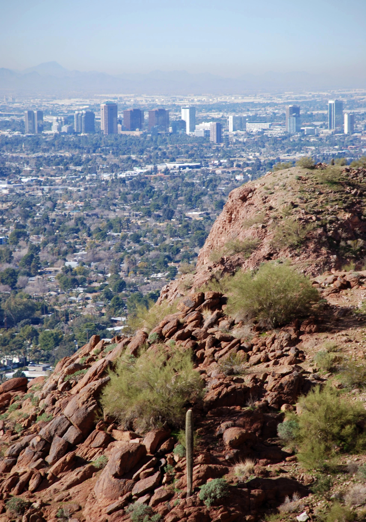 Skyline view of Phoenix Arizona with the side of a mountain in the foreground.